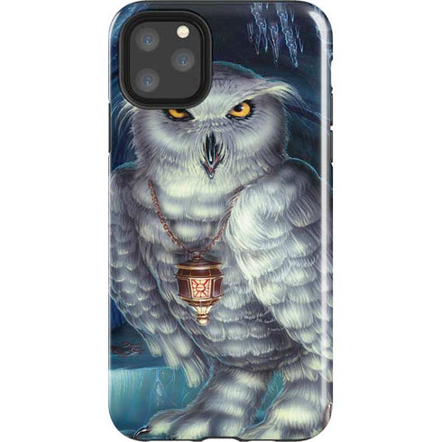 White Owl by Ed Beard Jr iPhone Cases